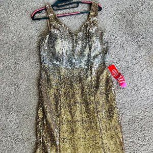 Beautiful Sequin Dress